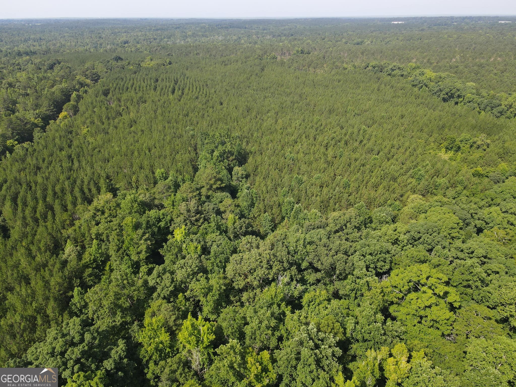 agriculture for sale at 0 Lower Harmony Road, Eatonton, GA 31024 — photo 5
