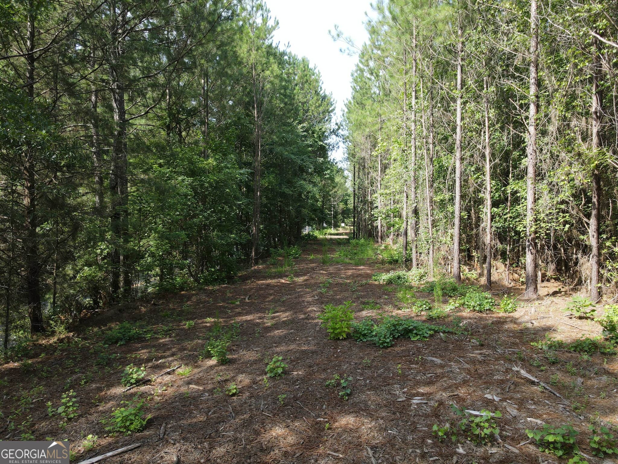 agriculture for sale at 0 Lower Harmony Road, Eatonton, GA 31024 — photo 10
