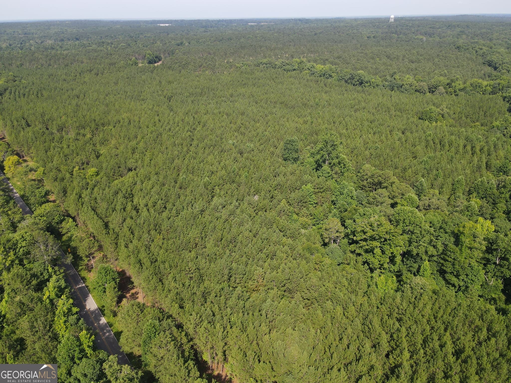 agriculture for sale at 0 Lower Harmony Road, Eatonton, GA 31024 — photo 4