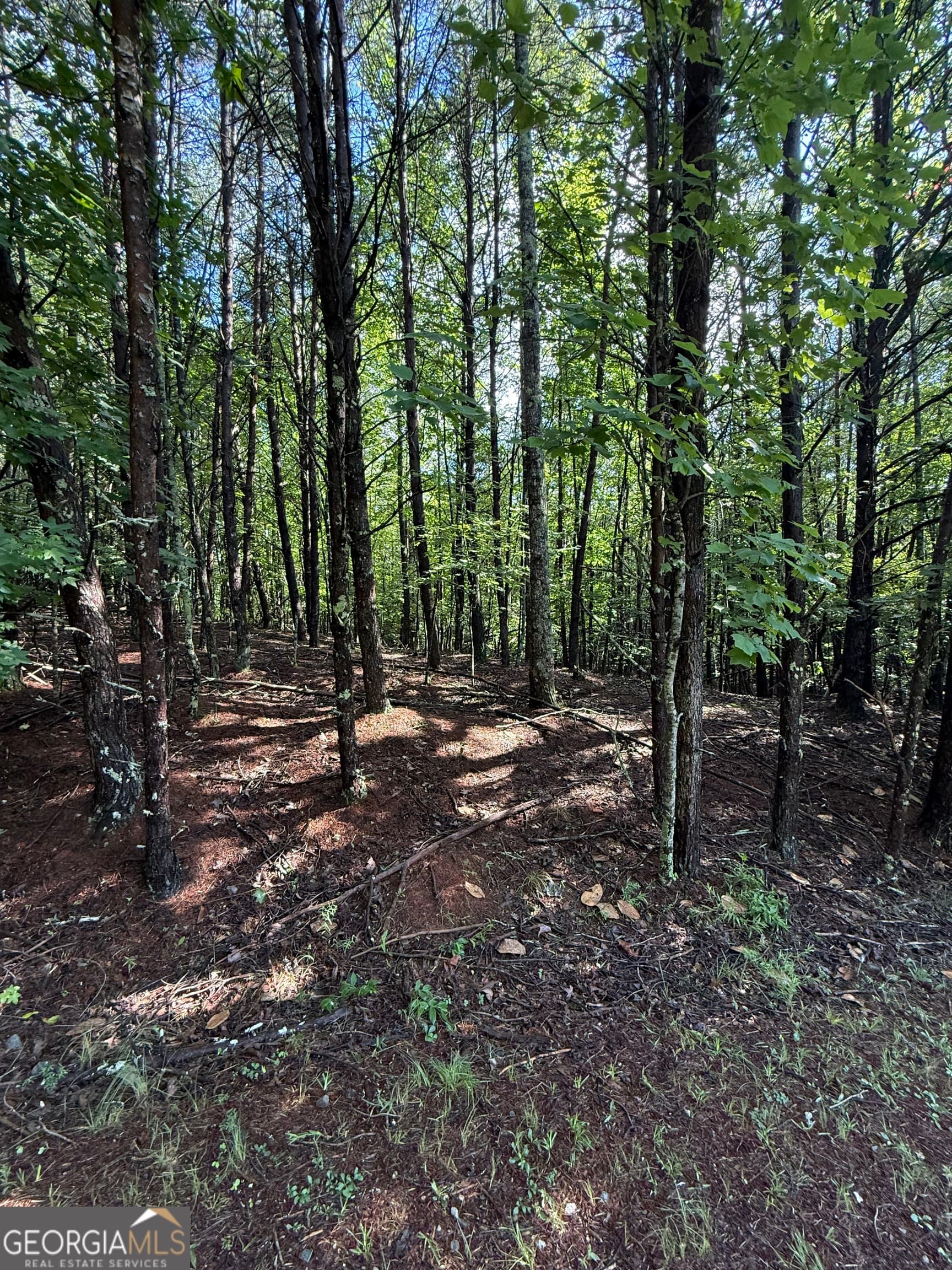 residential lot for sale at LOT 4 Marci Lane, Sautee Nacoochee, GA 30571 — photo 2