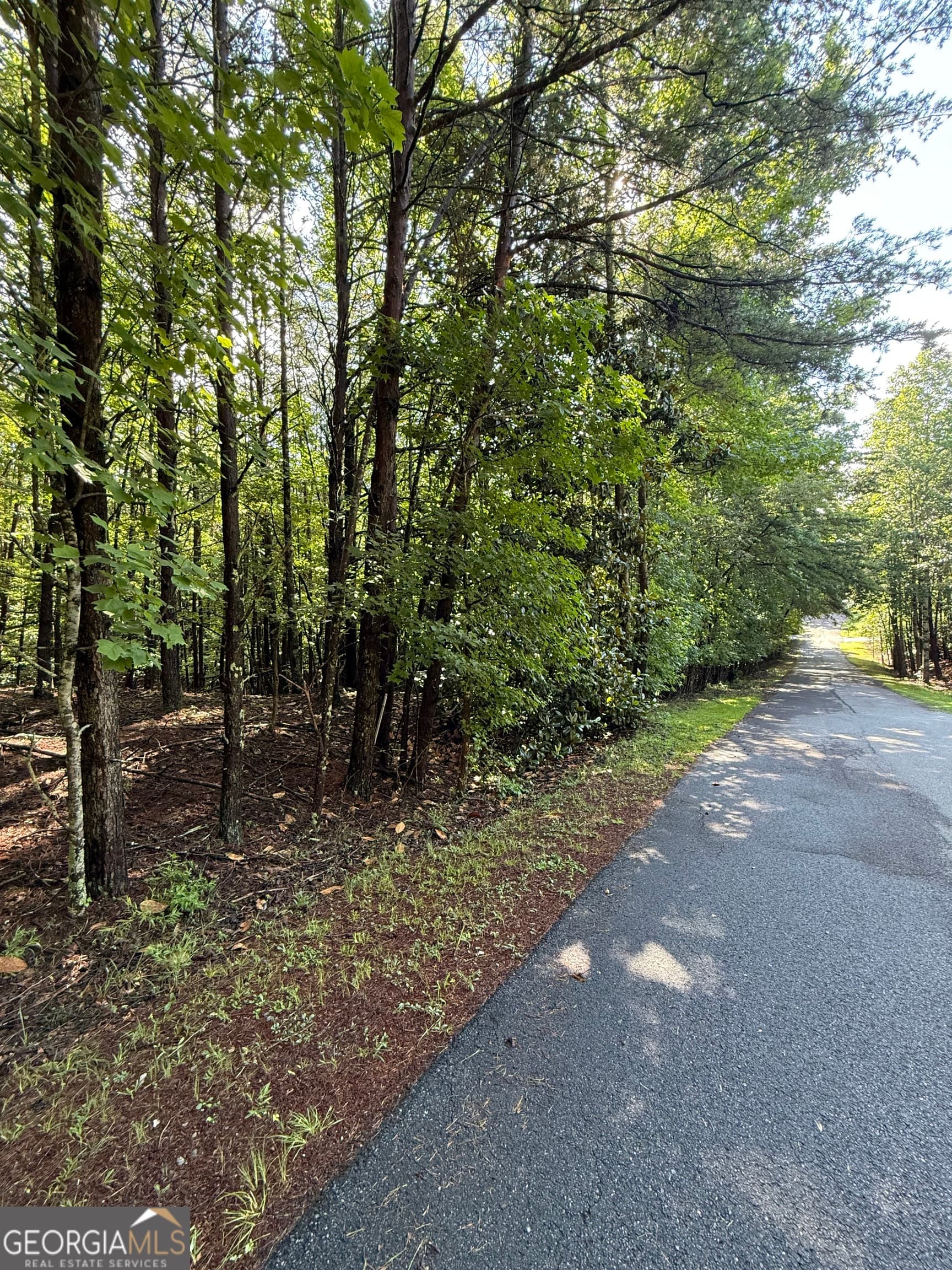 residential lot for sale at LOT 4 Marci Lane, Sautee Nacoochee, GA 30571 — photo 1 of 3