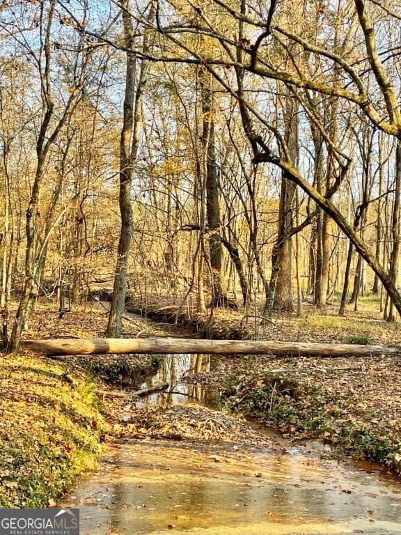 agriculture for sale at 0 Fullerton-Phillips Road, Hillsboro, GA 31038 — photo 6