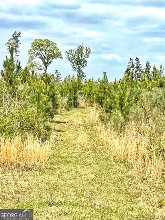 agriculture for sale at 0 Fullerton-Phillips Road, Hillsboro, GA 31038 — photo 3