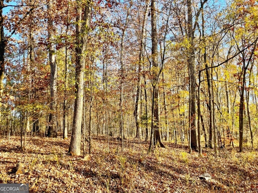 agriculture for sale at 0 Fullerton-Phillips Road, Hillsboro, GA 31038
