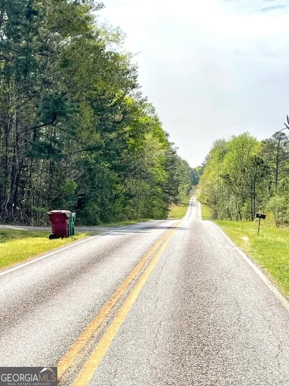 agriculture for sale at 0 Fullerton-Phillips Road, Hillsboro, GA 31038 — photo 10