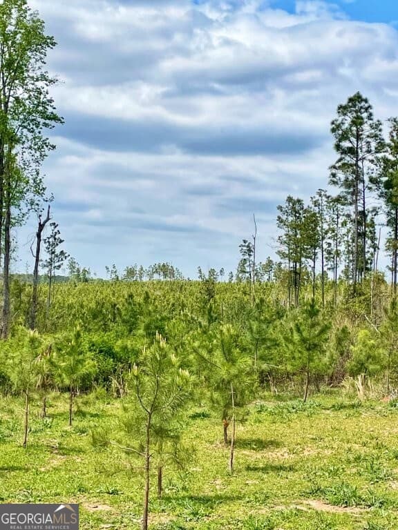agriculture for sale at 0 Fullerton-Phillips Road, Hillsboro, GA 31038 — photo 4