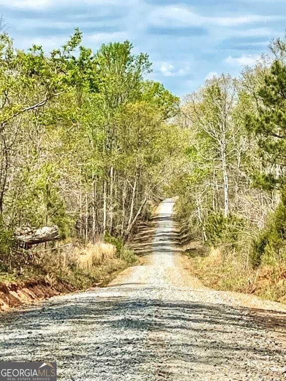 agriculture for sale at 0 Fullerton-Phillips Road, Hillsboro, GA 31038 — photo 8