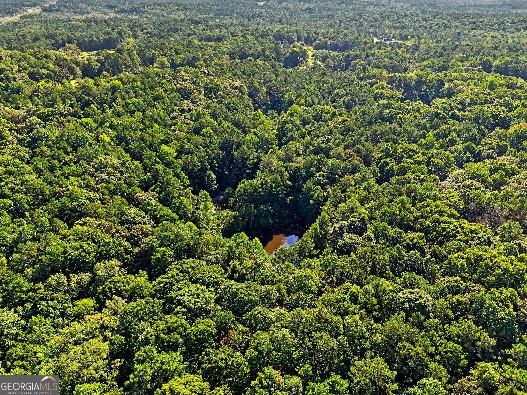 4 bedroom, 3.5 bathroom, 3,052 sq ft single family residence for sale at 2810 Roscoe Road, Newnan, GA 30263 — photo 8
