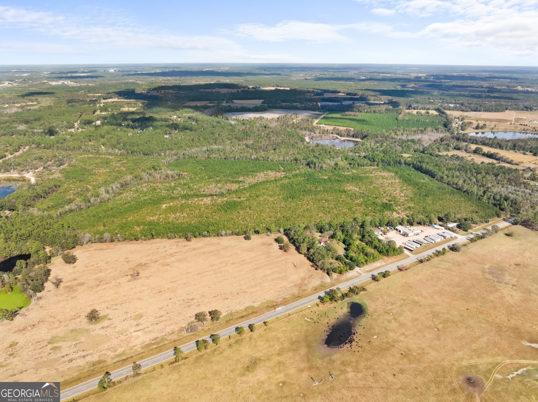 residential lot for sale at 0 Highway 46, Statesboro, GA 30458 — photo 6