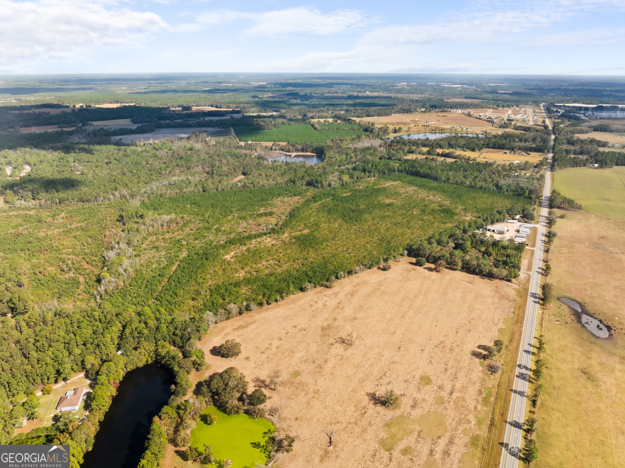 residential lot for sale at 0 Highway 46, Statesboro, GA 30458 — photo 7
