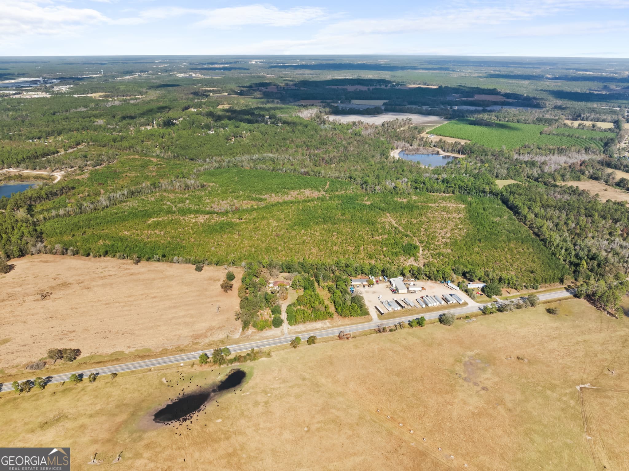 residential lot for sale at 0 Highway 46, Statesboro, GA 30458 — photo 5