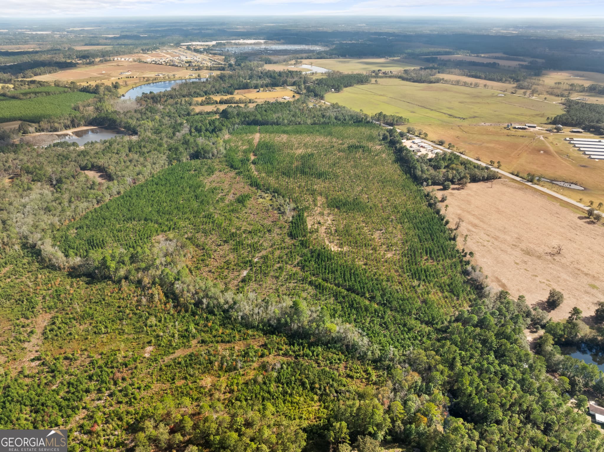 residential lot for sale at 0 Highway 46, Statesboro, GA 30458 — photo 9