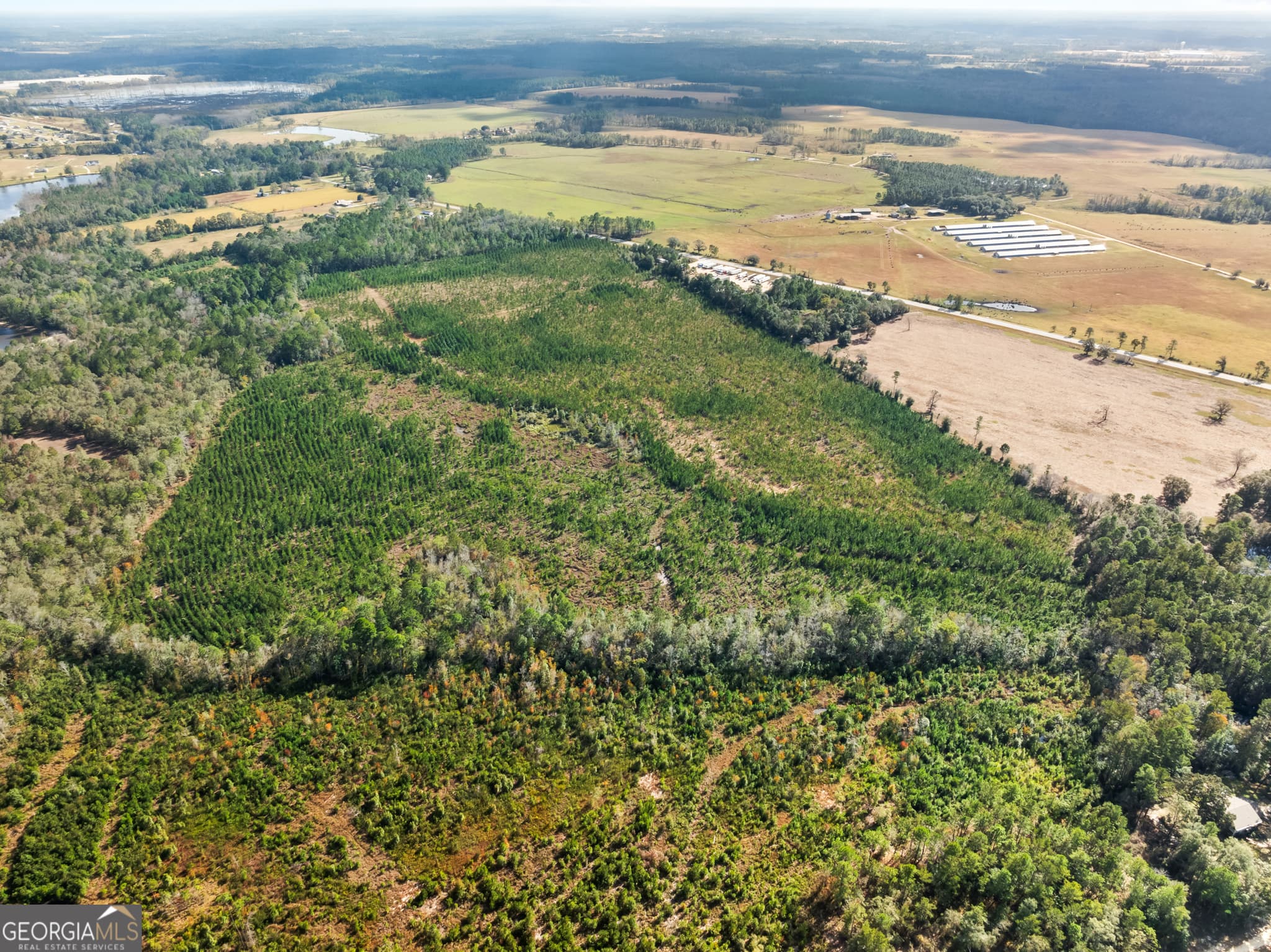 residential lot for sale at 0 Highway 46, Statesboro, GA 30458 — photo 10