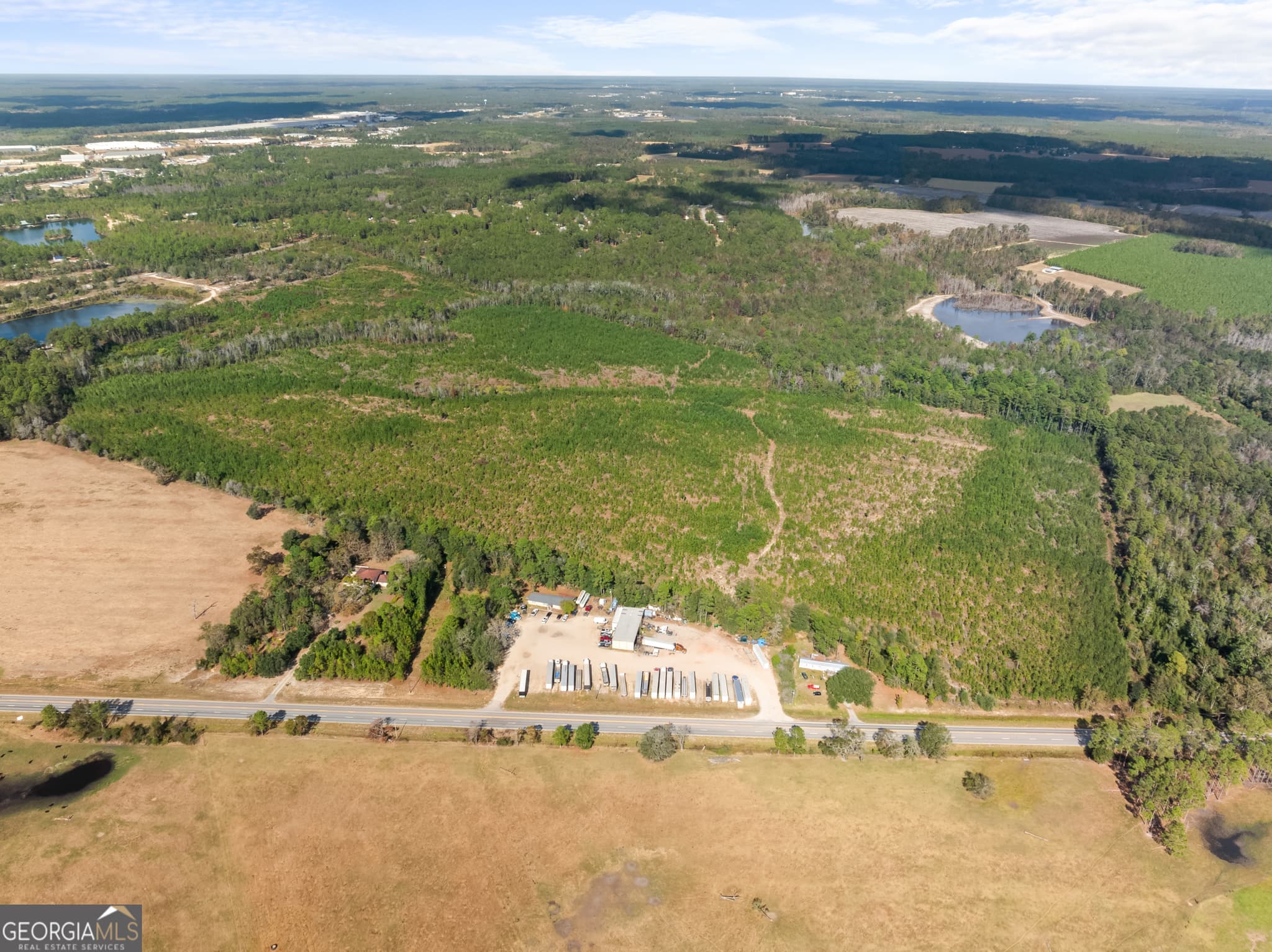 residential lot for sale at 0 Highway 46, Statesboro, GA 30458 — photo 4