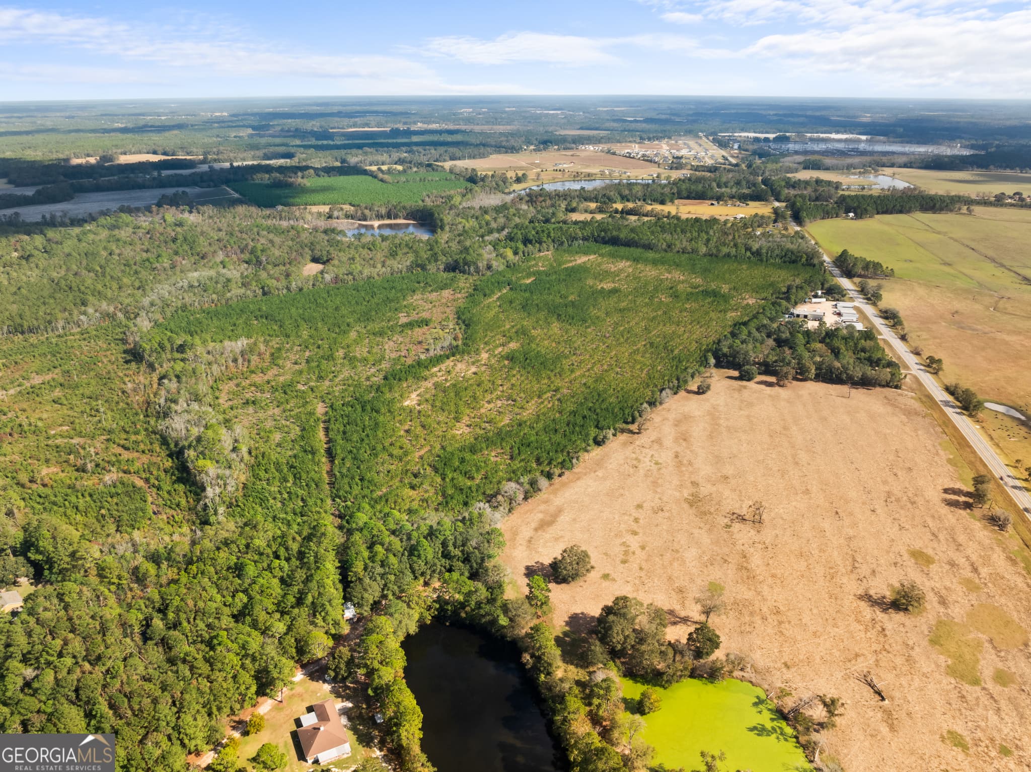 residential lot for sale at 0 Highway 46, Statesboro, GA 30458 — photo 8