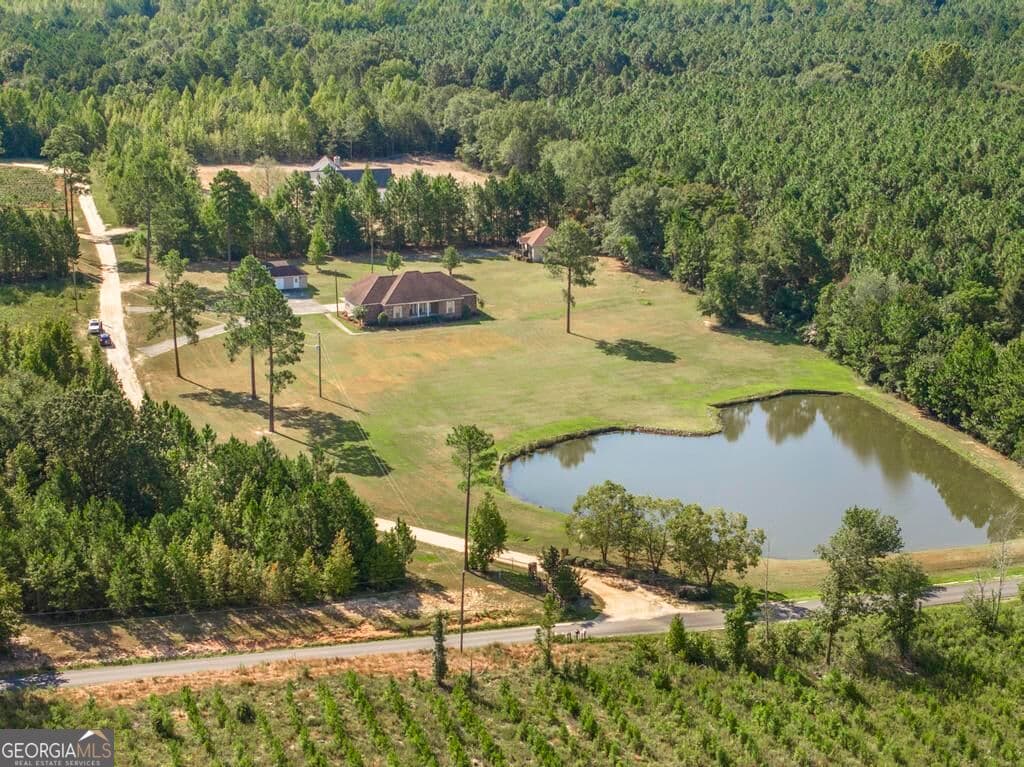 4 bedroom, 3 bathroom, 3,024 sq ft single family residence for sale at 2509 Orphans Cemetery Road, Eastman, GA 31023 — photo 4