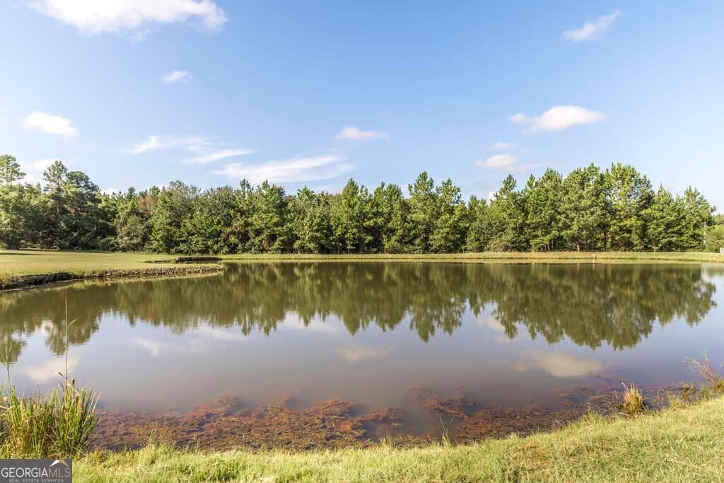4 bedroom, 3 bathroom, 3,024 sq ft single family residence for sale at 2509 Orphans Cemetery Road, Eastman, GA 31023 — photo 8