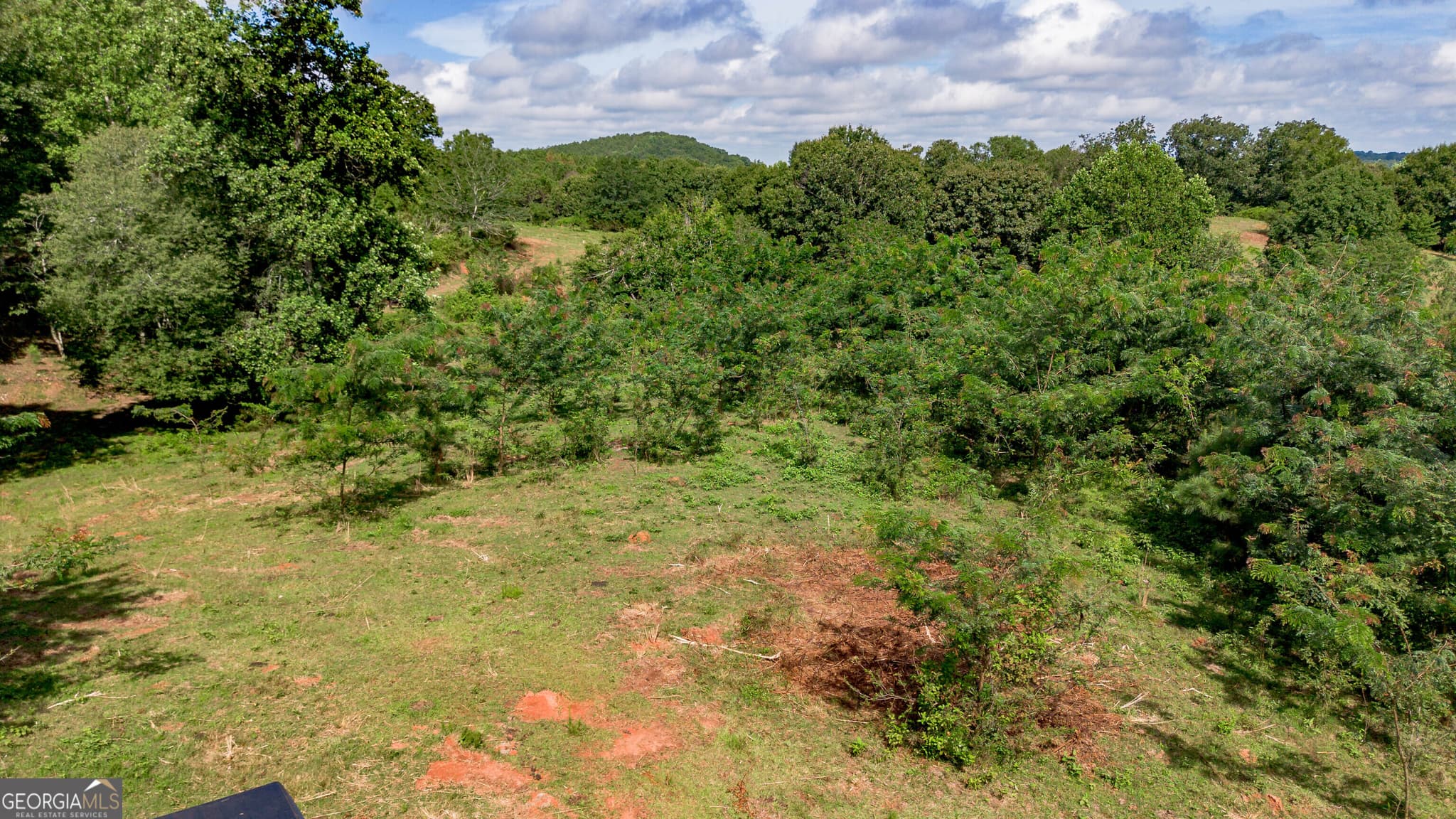residential lot for sale at 5967 County Road 19, Heflin, AL 36264 — photo 7