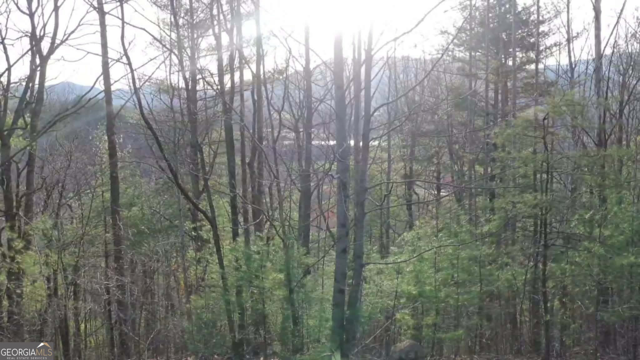 residential lot for sale at 0 LOT 35 Winter Court 35, Rabun Gap, GA 30568 — photo 9