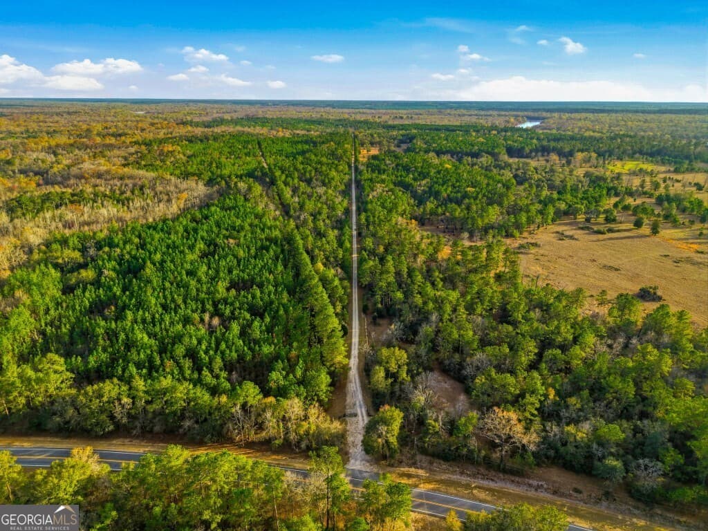estate lot for sale at 0 Rivers Edge Rd/Hwy 178, Reidsville, GA 30453 — photo 6