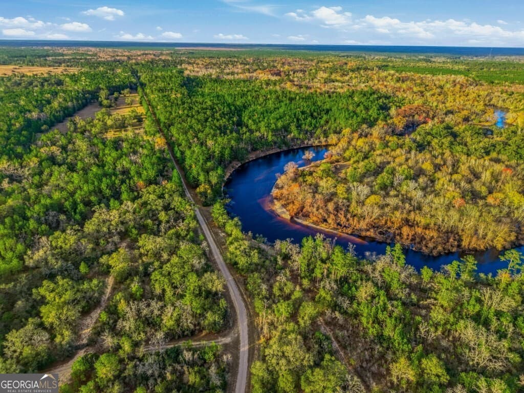 estate lot for sale at 0 Rivers Edge Rd/Hwy 178, Reidsville, GA 30453 — photo 7