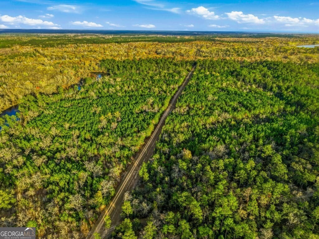 estate lot for sale at 0 Rivers Edge Rd/Hwy 178, Reidsville, GA 30453 — photo 5