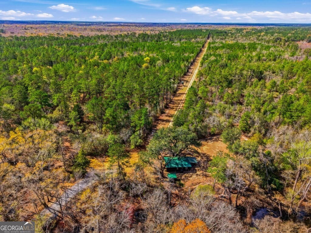 estate lot for sale at 0 Rivers Edge Rd/Hwy 178, Reidsville, GA 30453 — photo 4