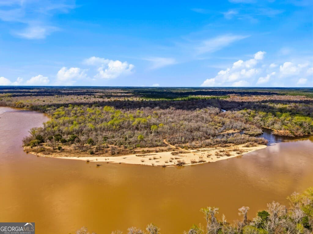 estate lot for sale at 0 Rivers Edge Rd/Hwy 178, Reidsville, GA 30453 — photo 8
