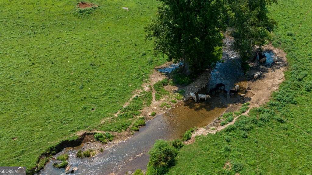 unimproved land for sale at 51.20 AC Bethabara Road, Hayesville, NC 28904 — photo 6