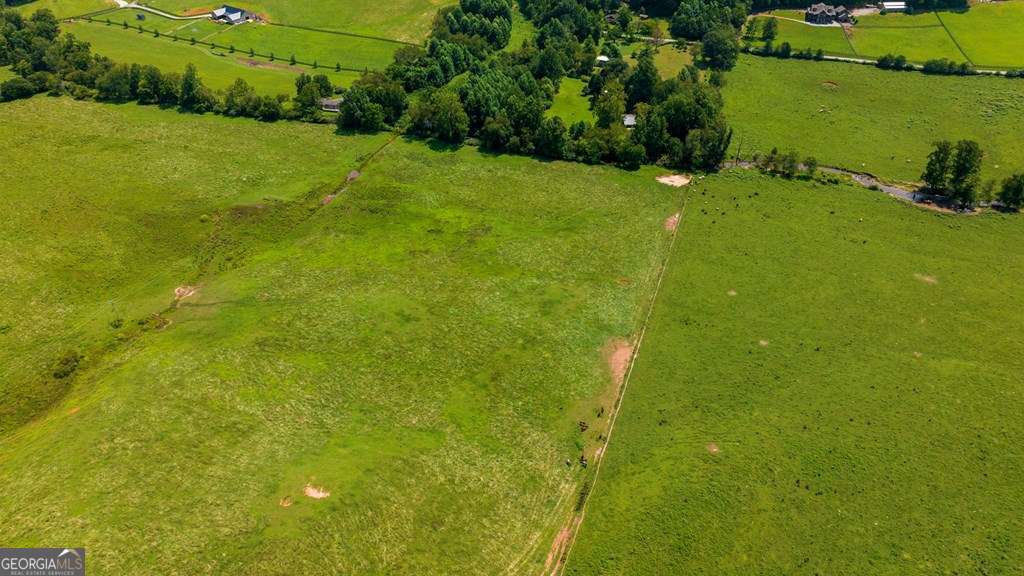 unimproved land for sale at 51.20 AC Bethabara Road, Hayesville, NC 28904 — photo 7