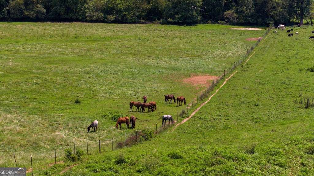 unimproved land for sale at 51.20 AC Bethabara Road, Hayesville, NC 28904 — photo 3