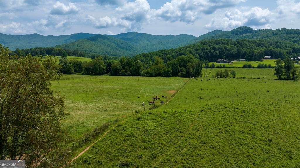 unimproved land for sale at 51.20 AC Bethabara Road, Hayesville, NC 28904
