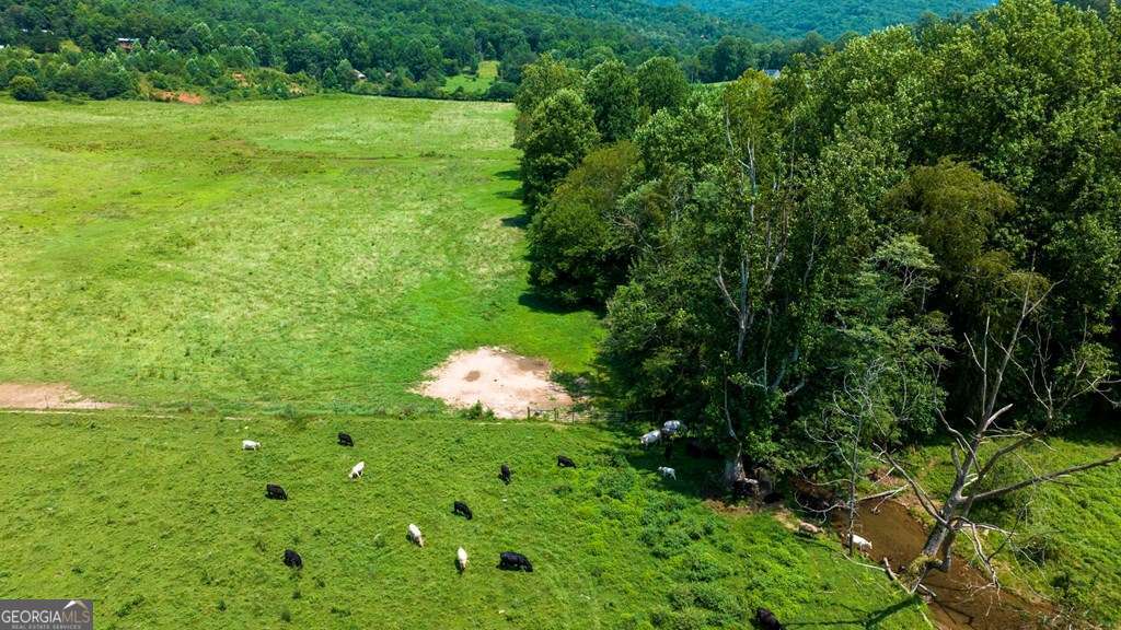 unimproved land for sale at 51.20 AC Bethabara Road, Hayesville, NC 28904 — photo 4