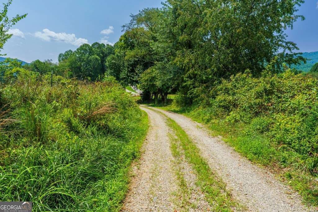 unimproved land for sale at 51.20 AC Bethabara Road, Hayesville, NC 28904 — photo 8