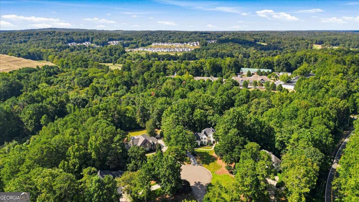 5 bedroom, 5.5 bathroom, 5,653 sq ft single family residence for sale at 115 Providence Lake Point, Milton, GA 30004 — photo 6