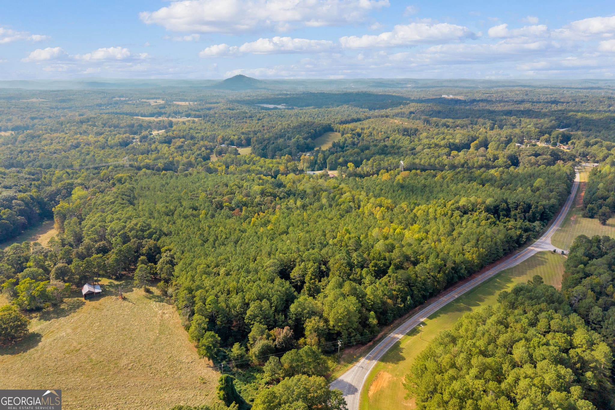 agriculture for sale at 0 Highway 145, Eastanollee, GA 30538 — photo 2