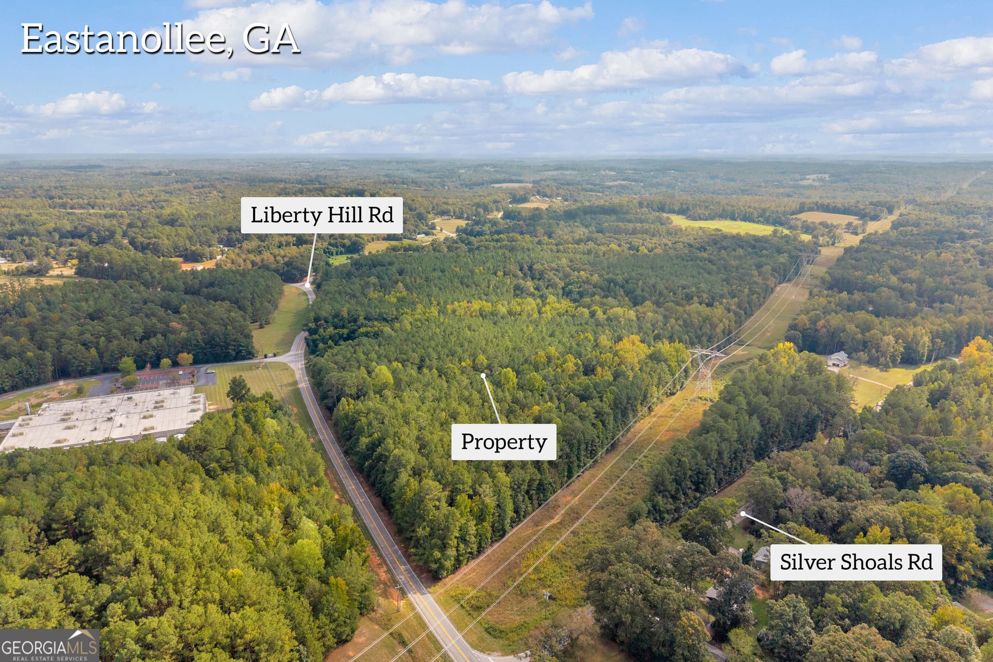 agriculture for sale at 0 Highway 145, Eastanollee, GA 30538 — photo 6