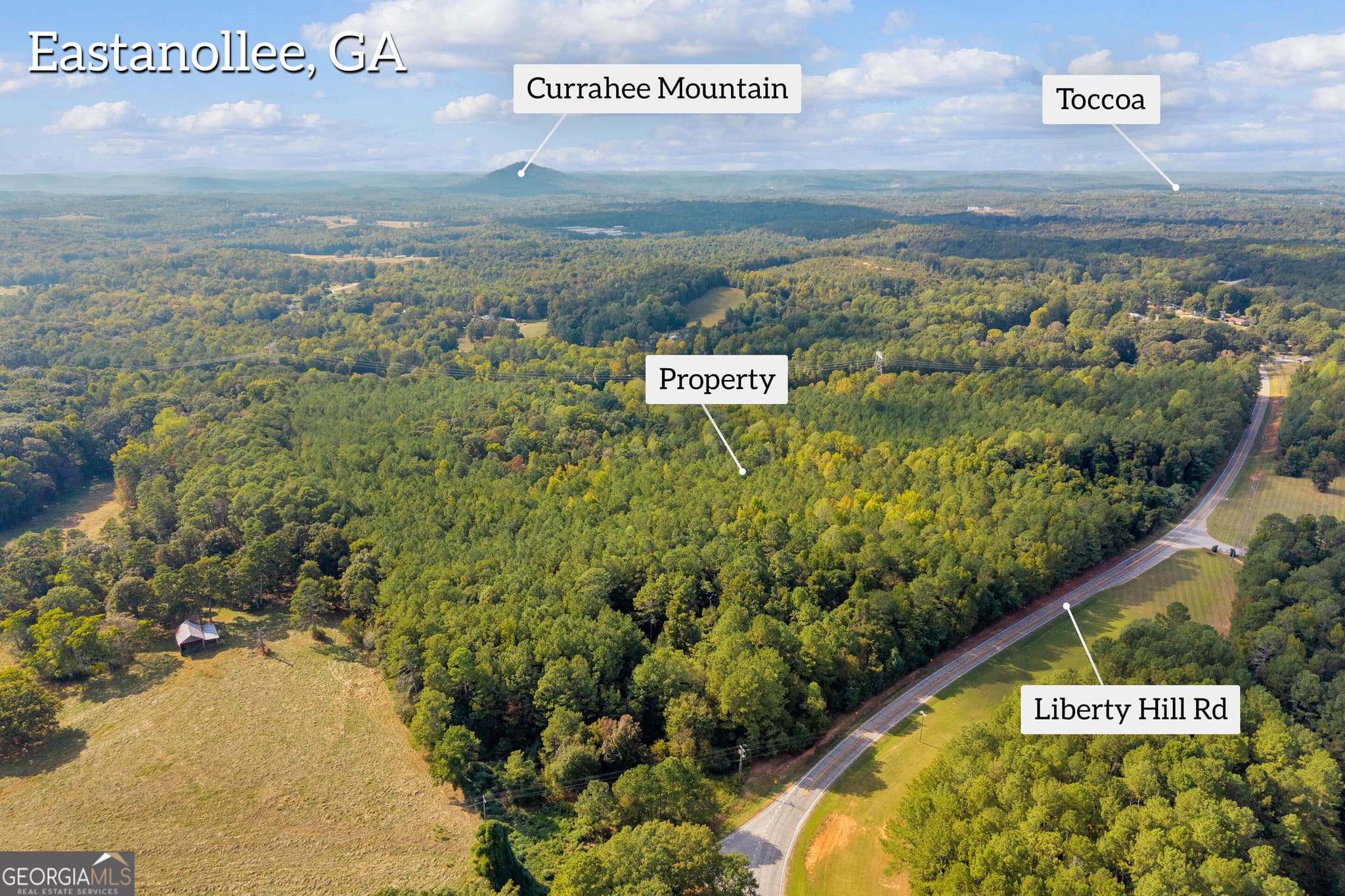 agriculture for sale at 0 Highway 145, Eastanollee, GA 30538 — photo 7