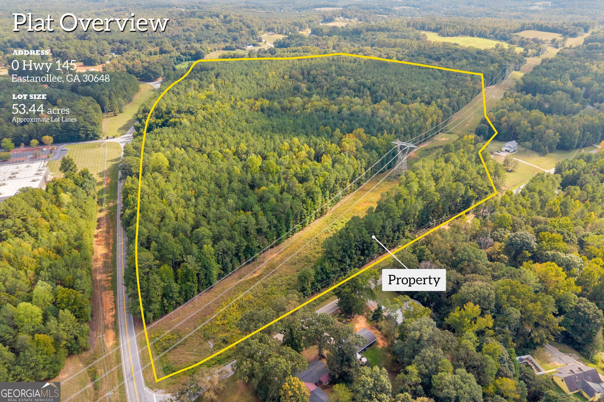 agriculture for sale at 0 Highway 145, Eastanollee, GA 30538 — photo 3
