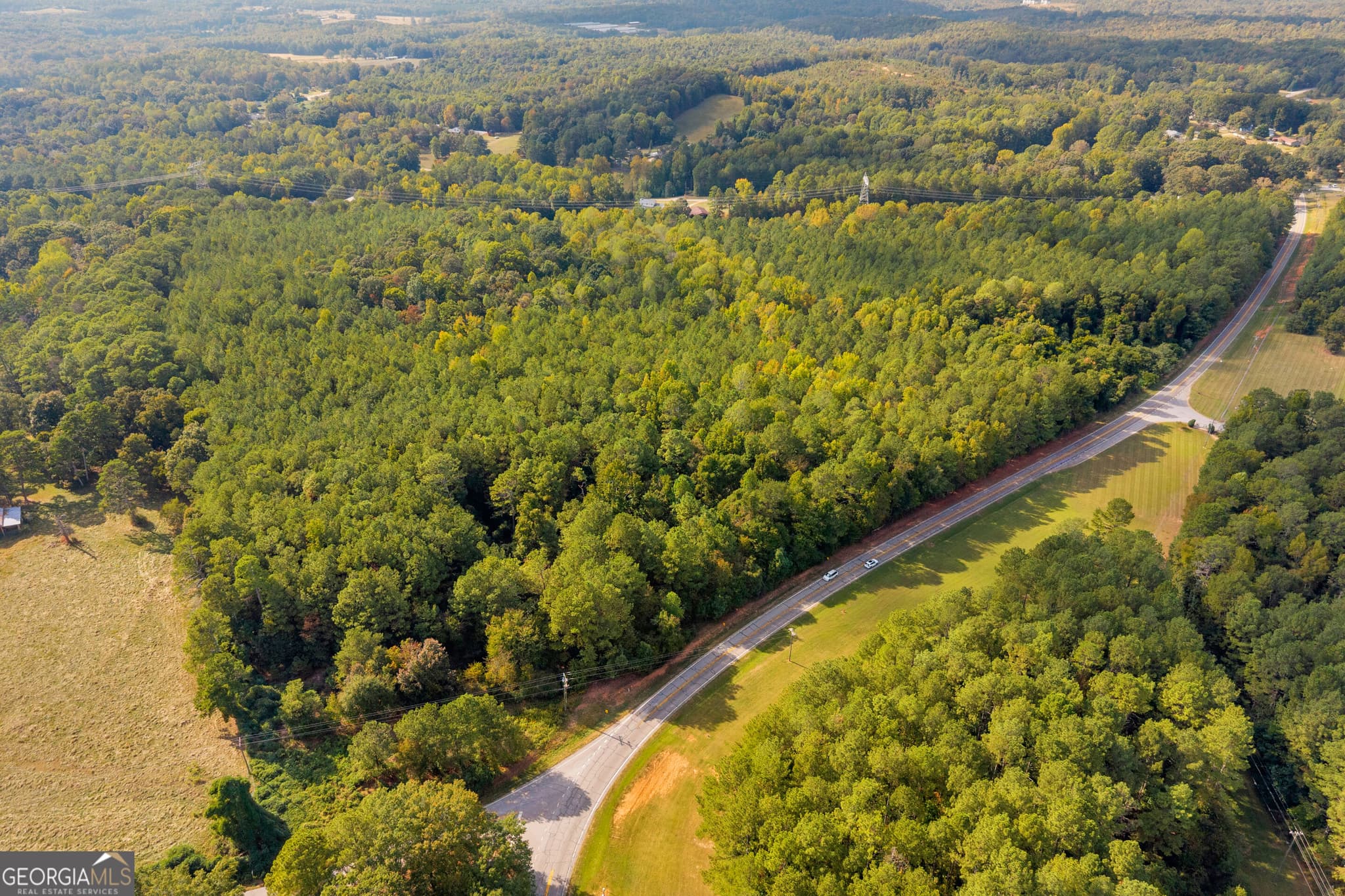 agriculture for sale at 0 Highway 145, Eastanollee, GA 30538 — photo 10