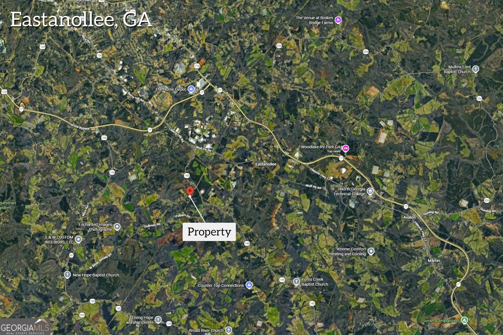 agriculture for sale at 0 Highway 145, Eastanollee, GA 30538 — photo 4