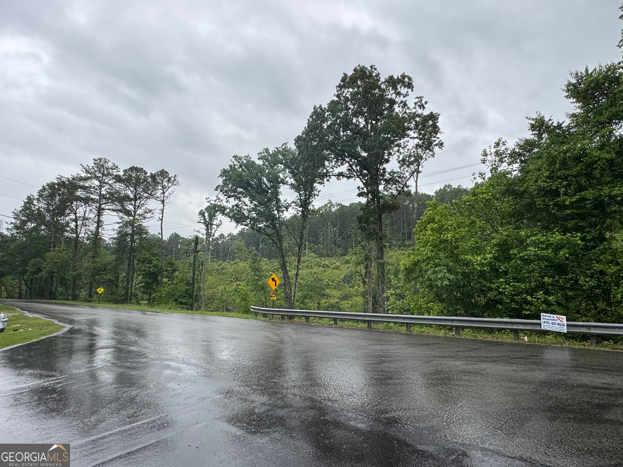 commercial for sale at 0 Carnes Mill Road, Talking Rock, GA 30175 — photo 4