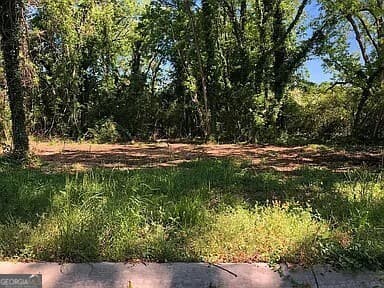 residential lot for sale at 145 Plum Street, Haddock, GA 31033 — photo 2