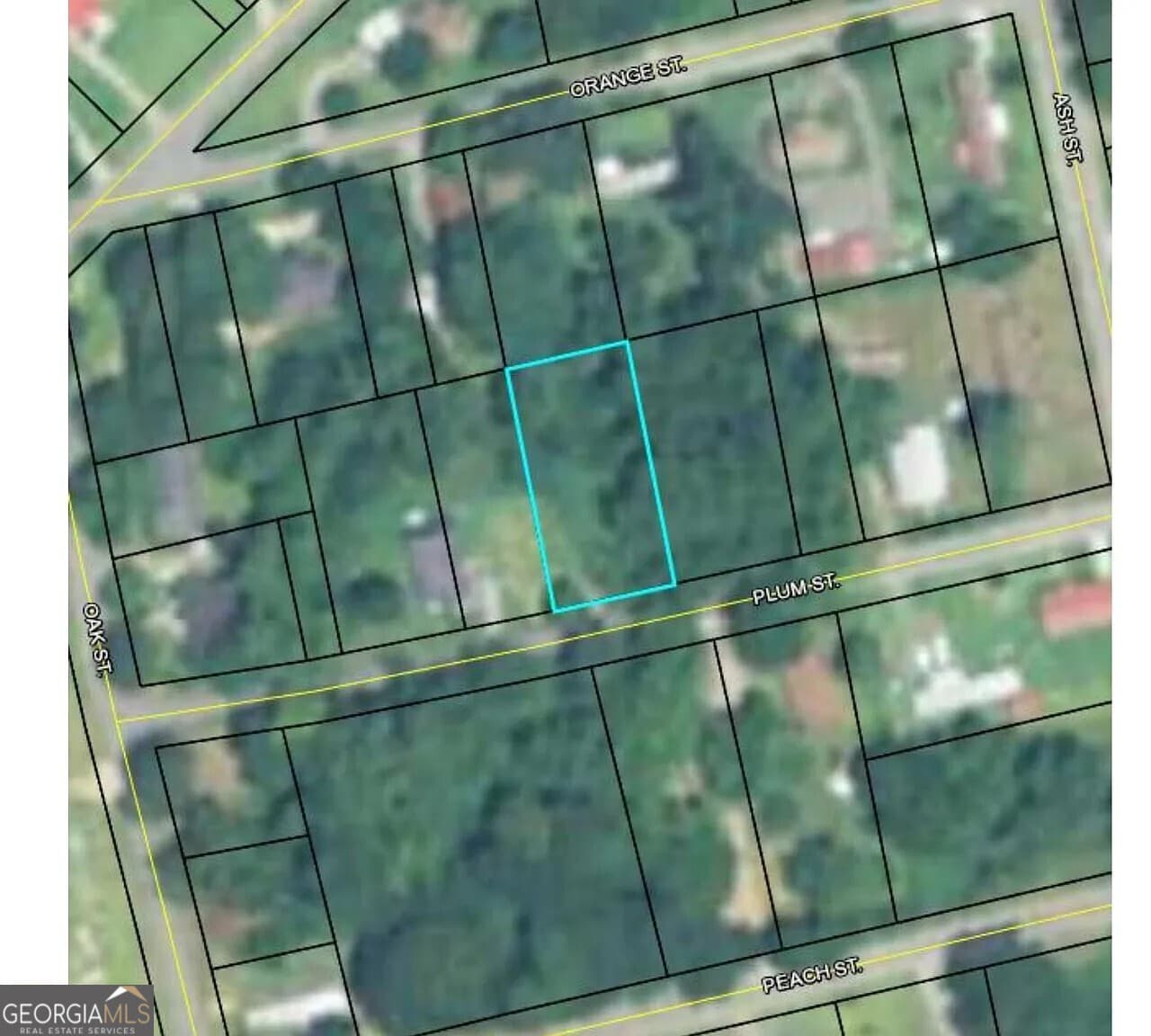 residential lot for sale at 145 Plum Street, Haddock, GA 31033 — photo 3