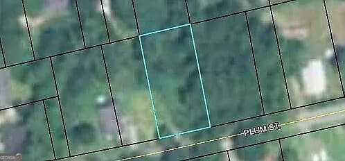 residential lot for sale at 145 Plum Street, Haddock, GA 31033 — photo 1 of 3