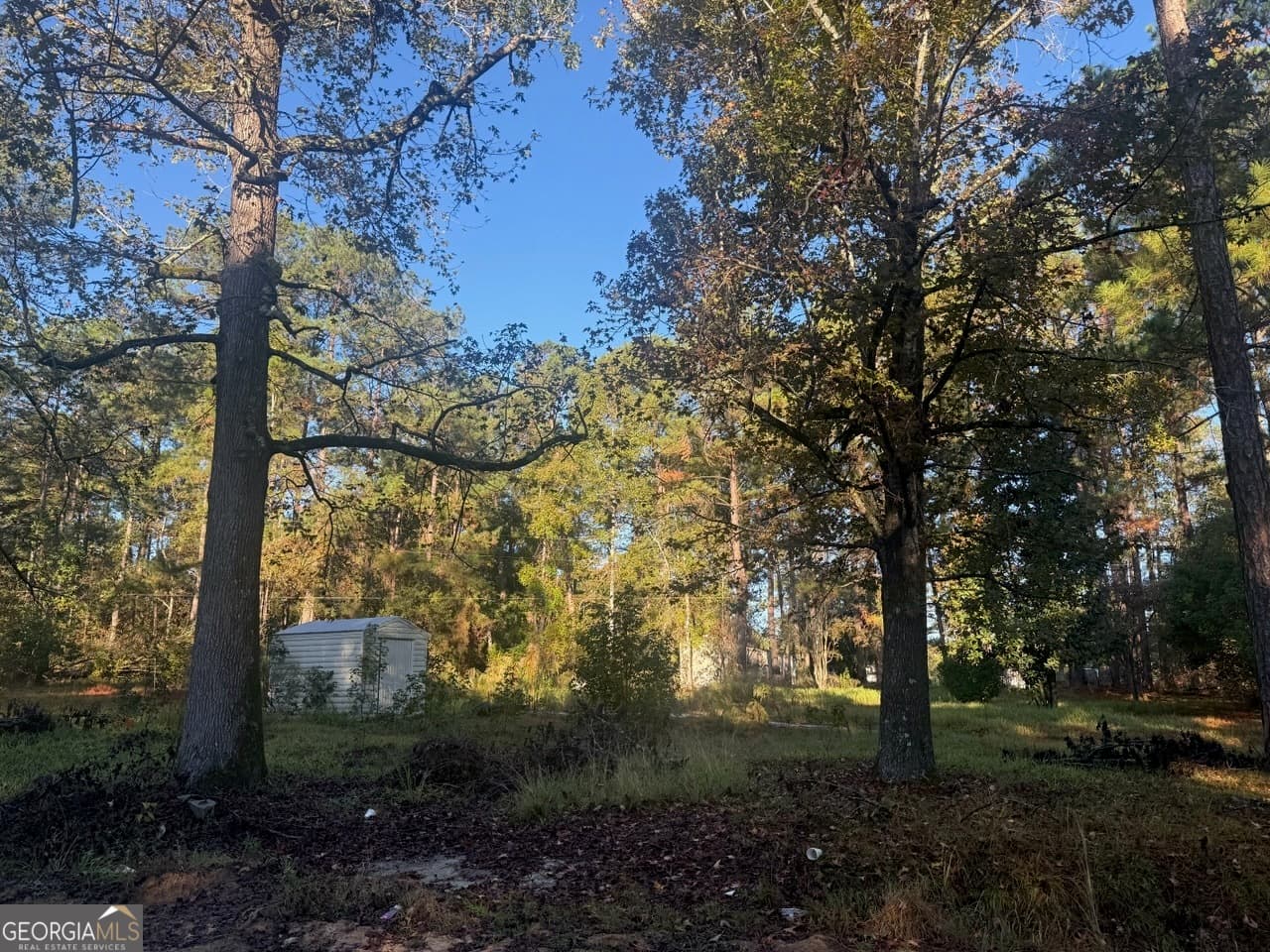 residential lot for sale at 201 Waters Grove Road, Sylvania, GA 30467 — photo 2