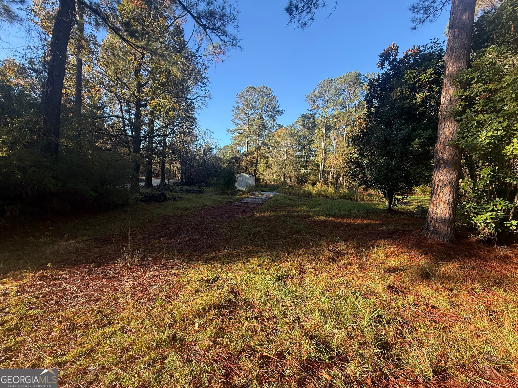 residential lot for sale at 201 Waters Grove Road, Sylvania, GA 30467 — photo 3