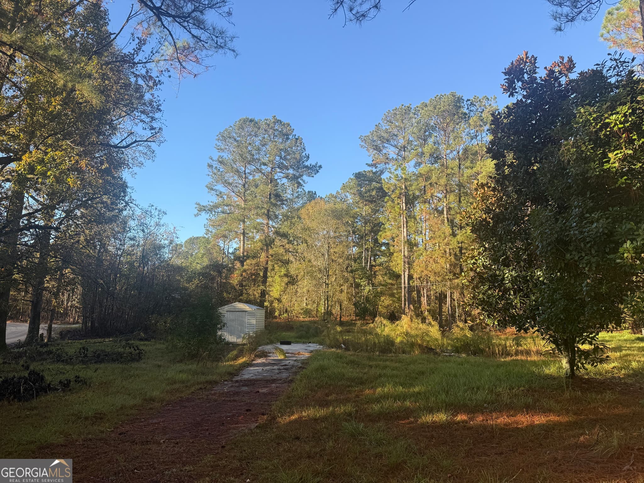 residential lot for sale at 201 Waters Grove Road, Sylvania, GA 30467 — photo 1 of 5