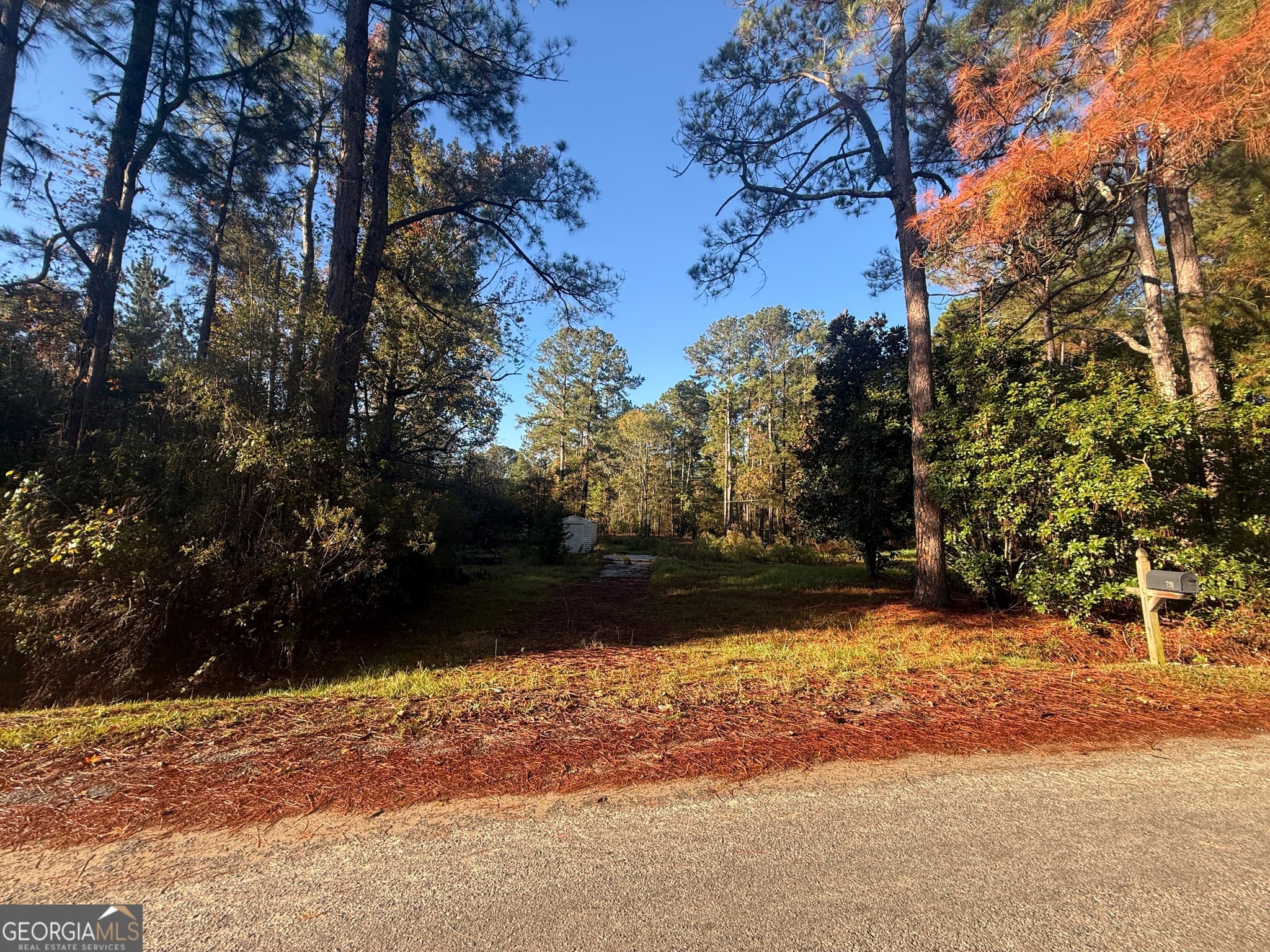 residential lot for sale at 201 Waters Grove Road, Sylvania, GA 30467 — photo 5