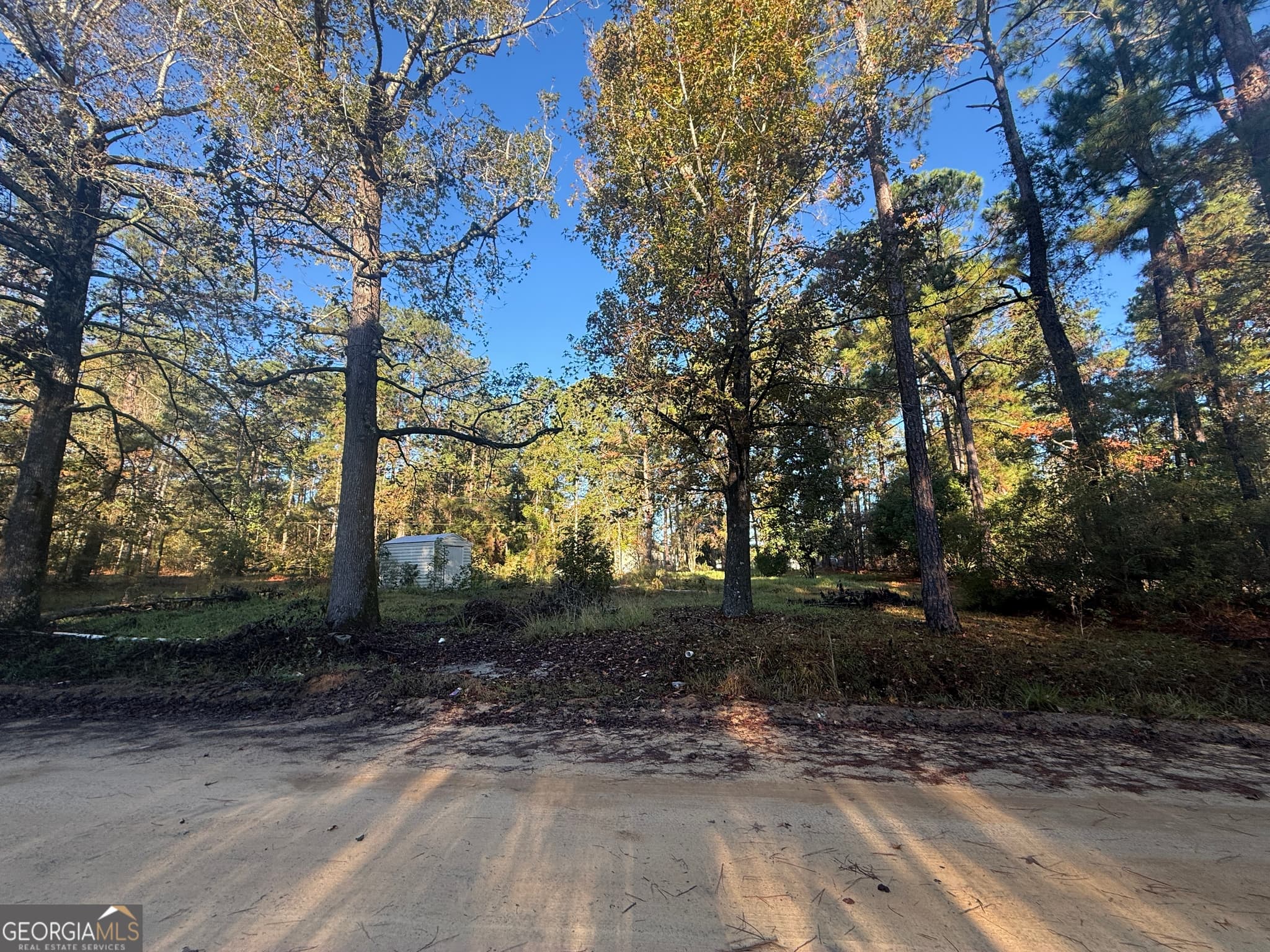 residential lot for sale at 201 Waters Grove Road, Sylvania, GA 30467 — photo 4